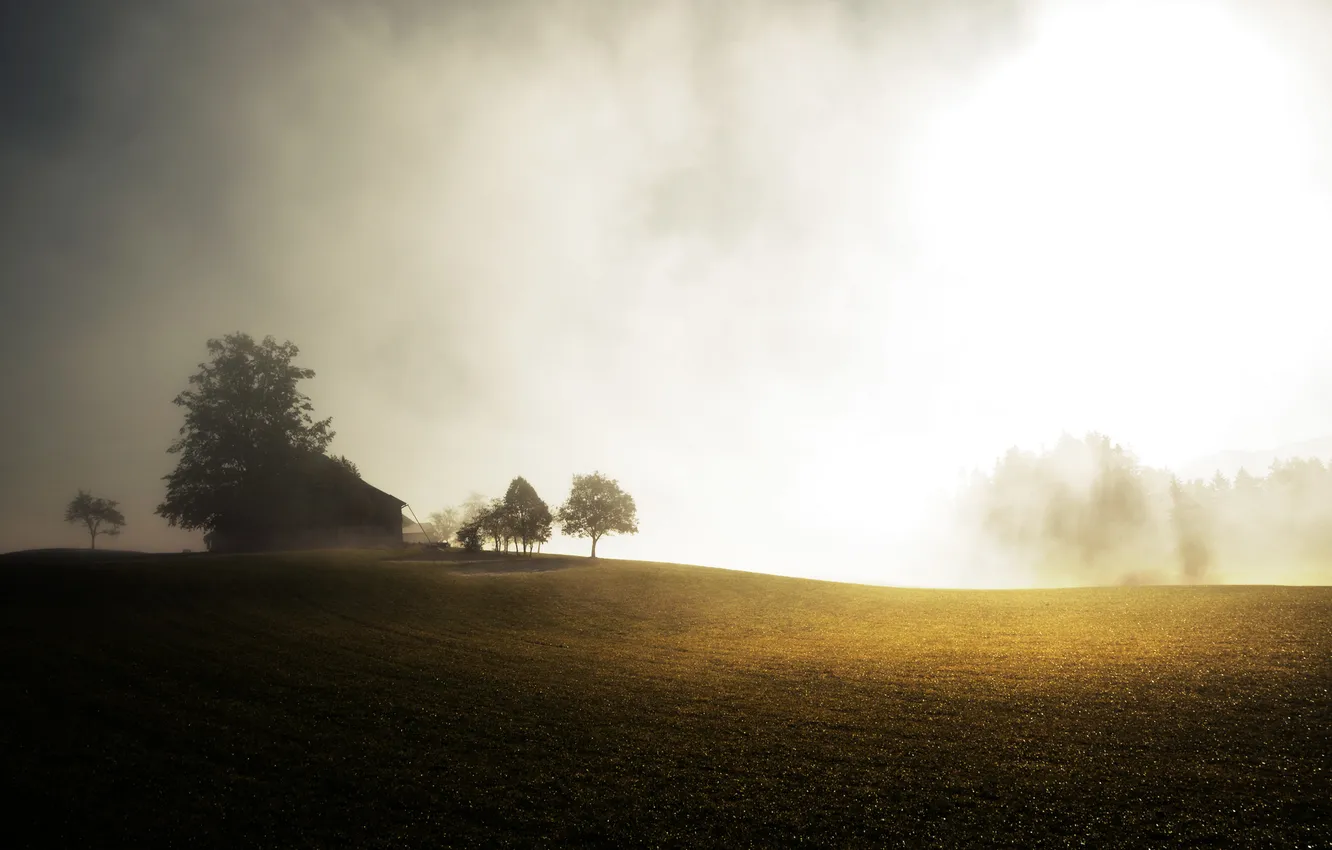 Photo wallpaper field, trees, fog, house, morning, the sun's rays