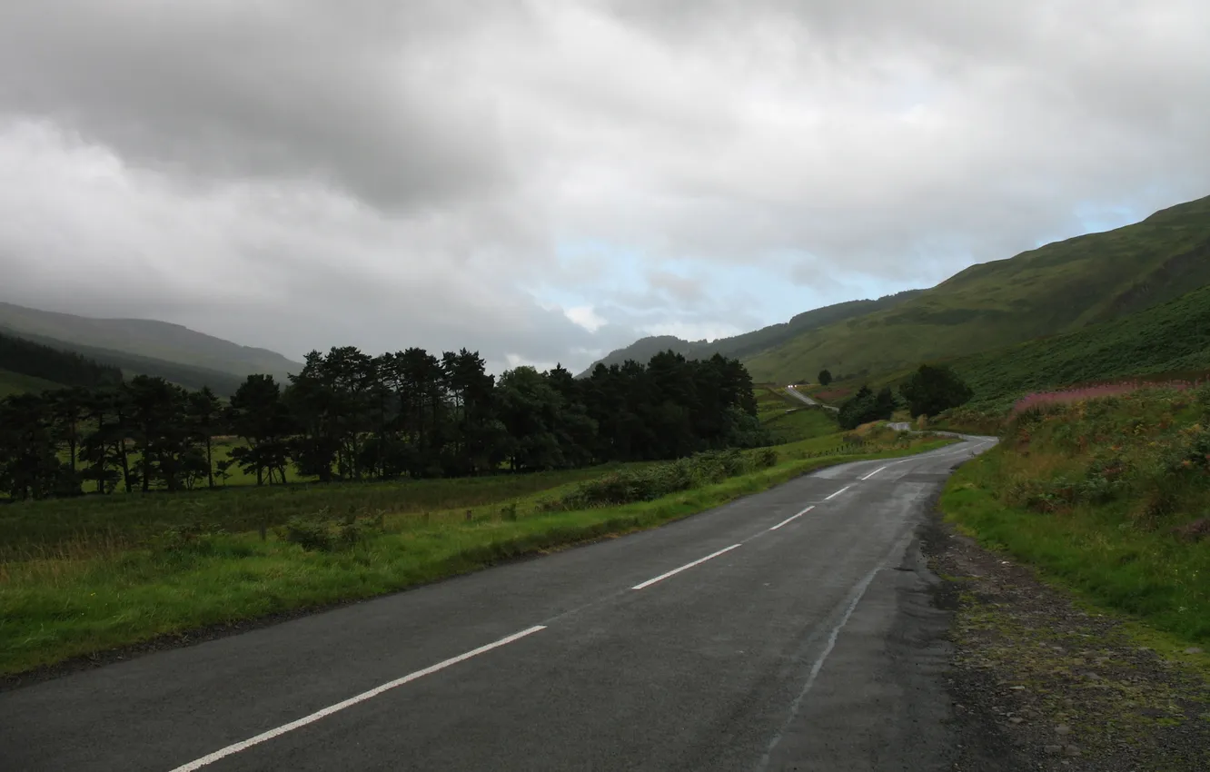 Photo wallpaper road, grass, trees, hills