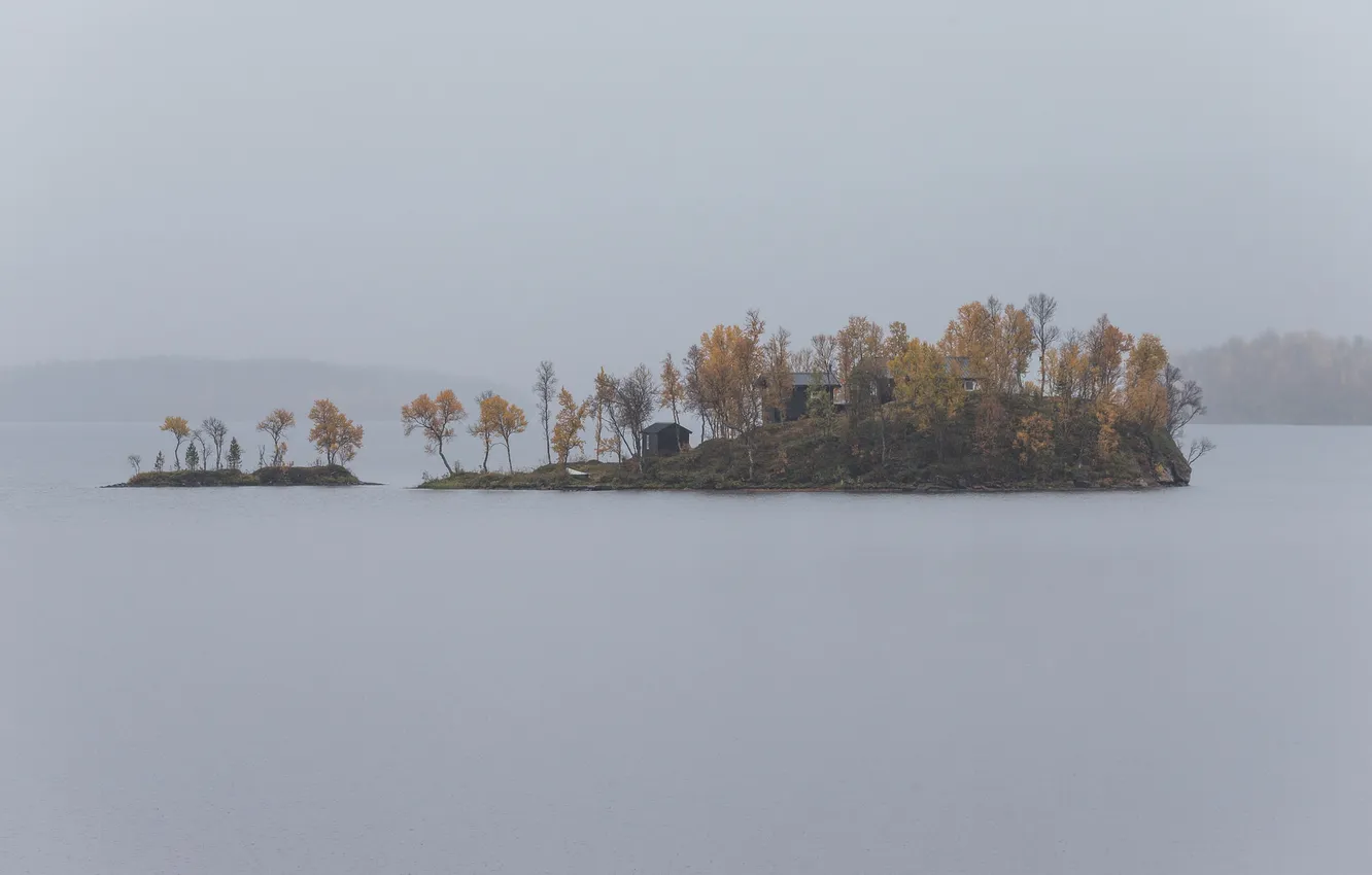 Photo wallpaper trees, fog, lake, boat, home, island, the gray sky, rainy