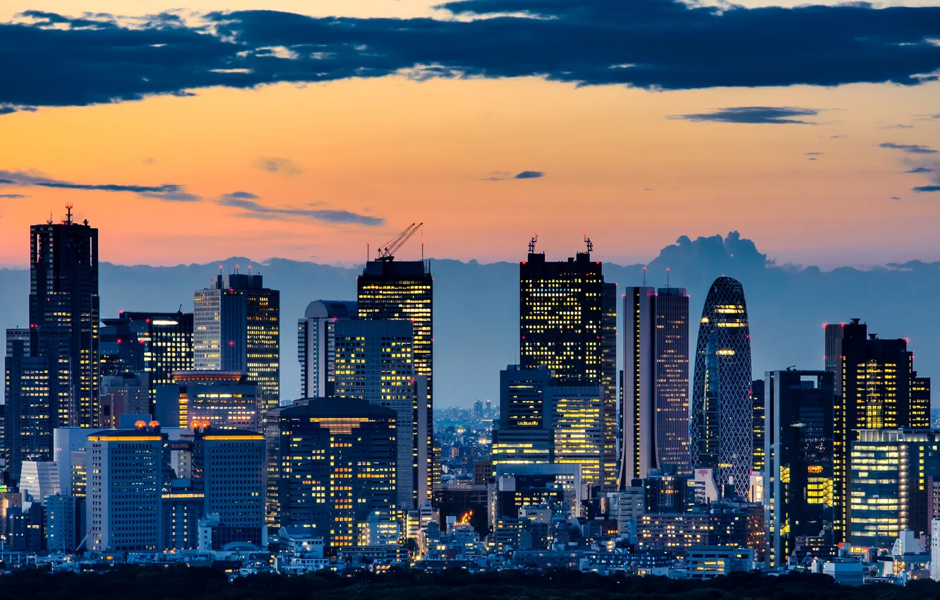 Photo wallpaper the sky, landscape, sunset, lights, skyscrapers, the evening, Japan, Tokyo