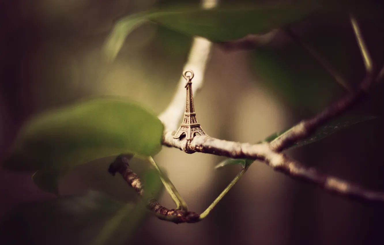 Photo wallpaper leaves, branches, Eiffel tower, suspension, figure