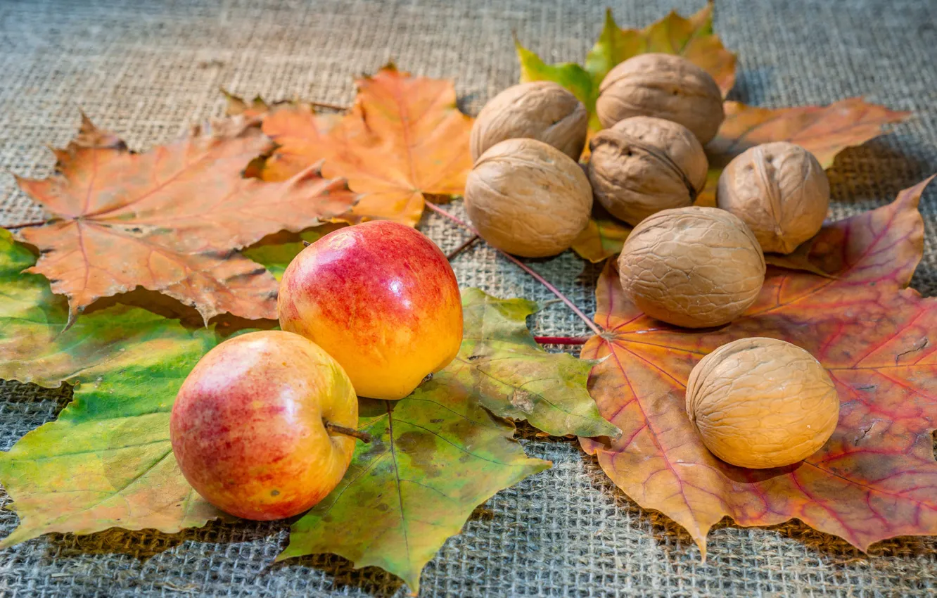 Photo wallpaper apples, nuts, walnut, autumn leaves