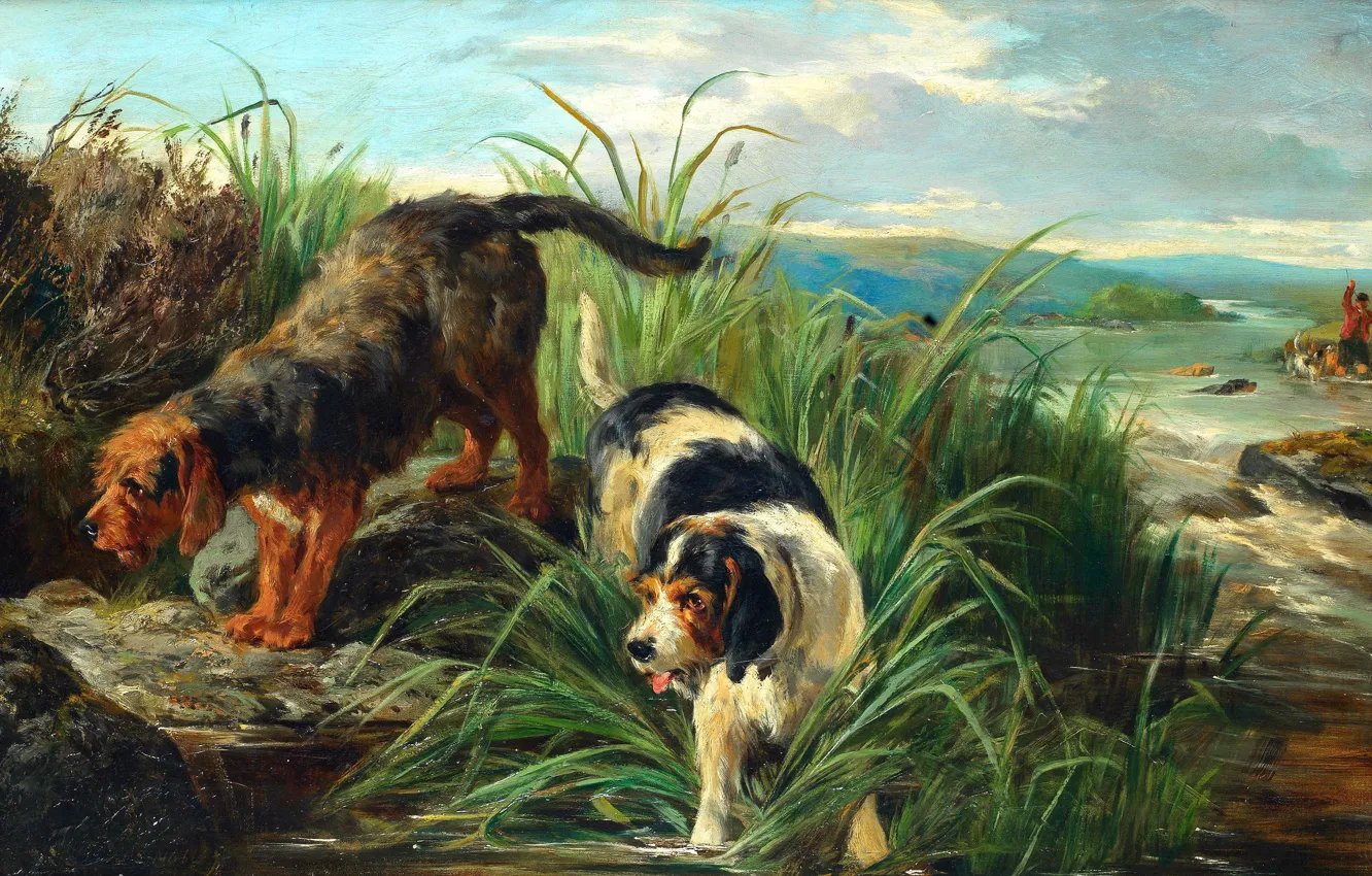 Photo wallpaper dog, picture, reed, river, British animal artist, John Sargent Noble, John Sargent Noble, Otter Hunting