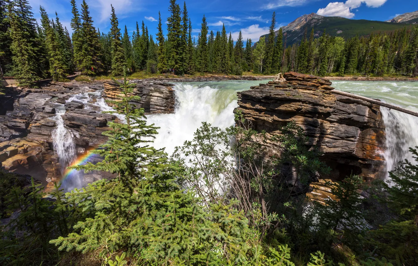 Photo wallpaper forest, the sky, the sun, clouds, trees, mountains, river, stones