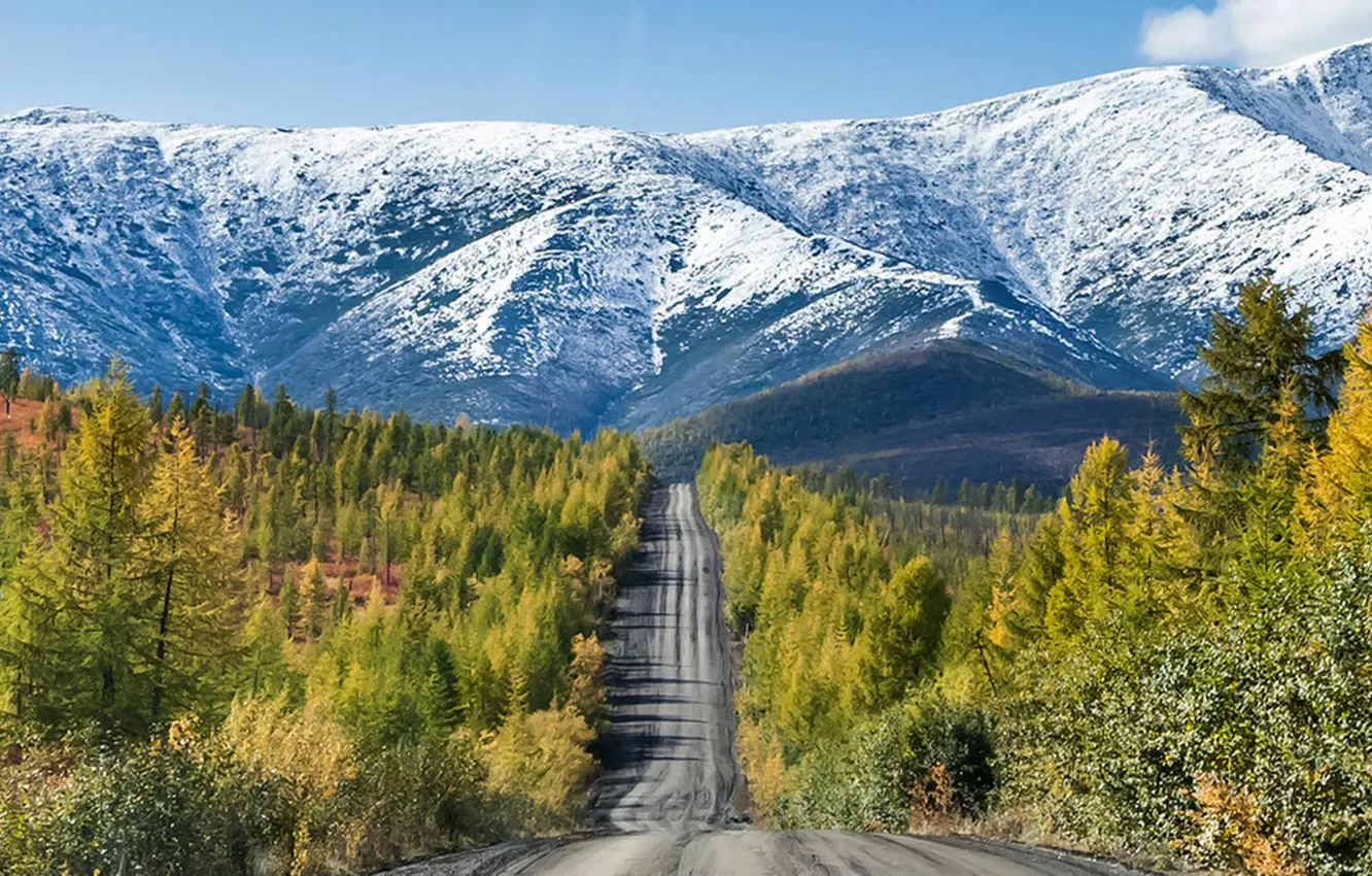 Photo wallpaper road, landscape, mountains, taiga
