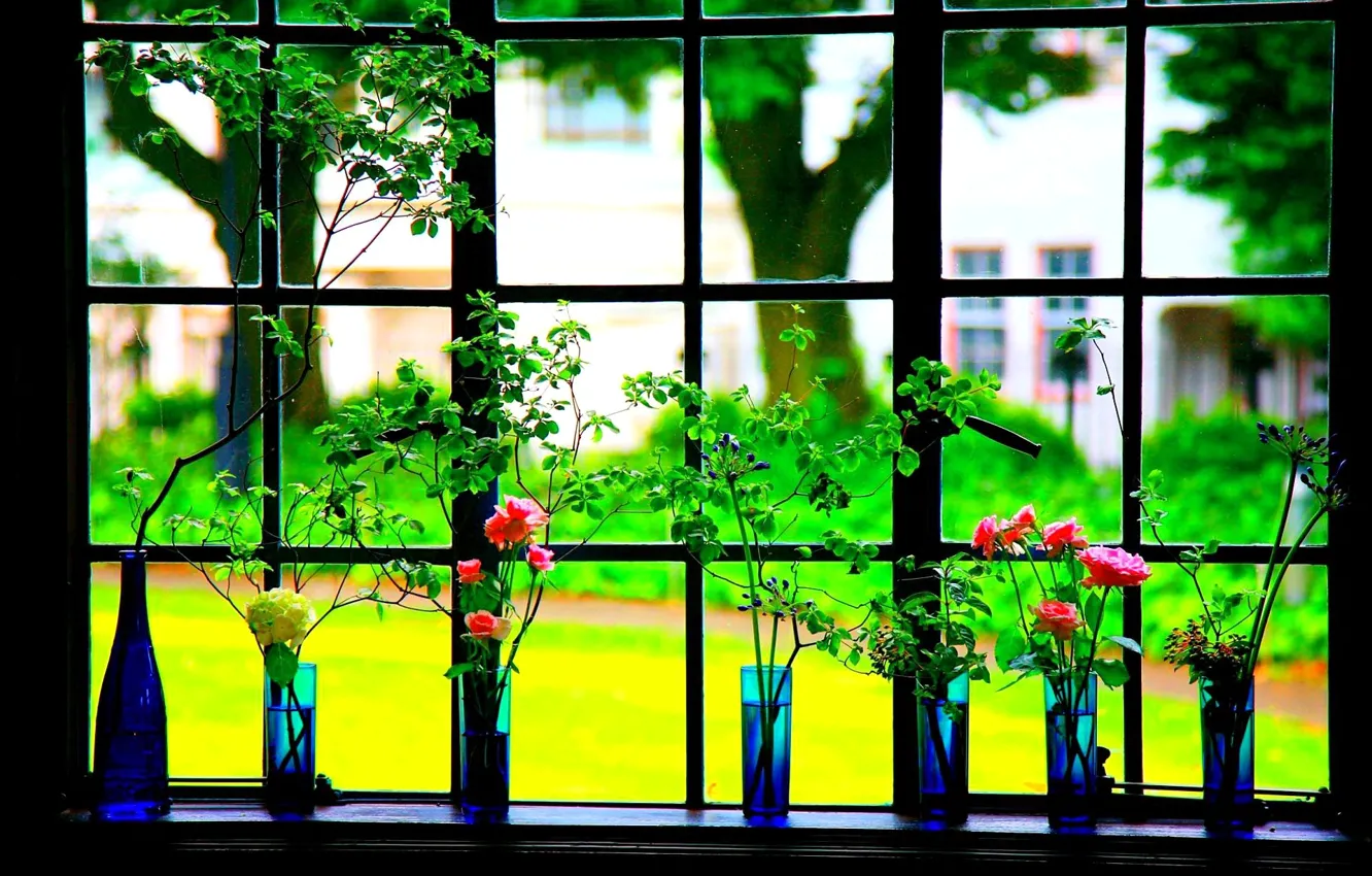 Photo wallpaper flowers, frame, window, vase