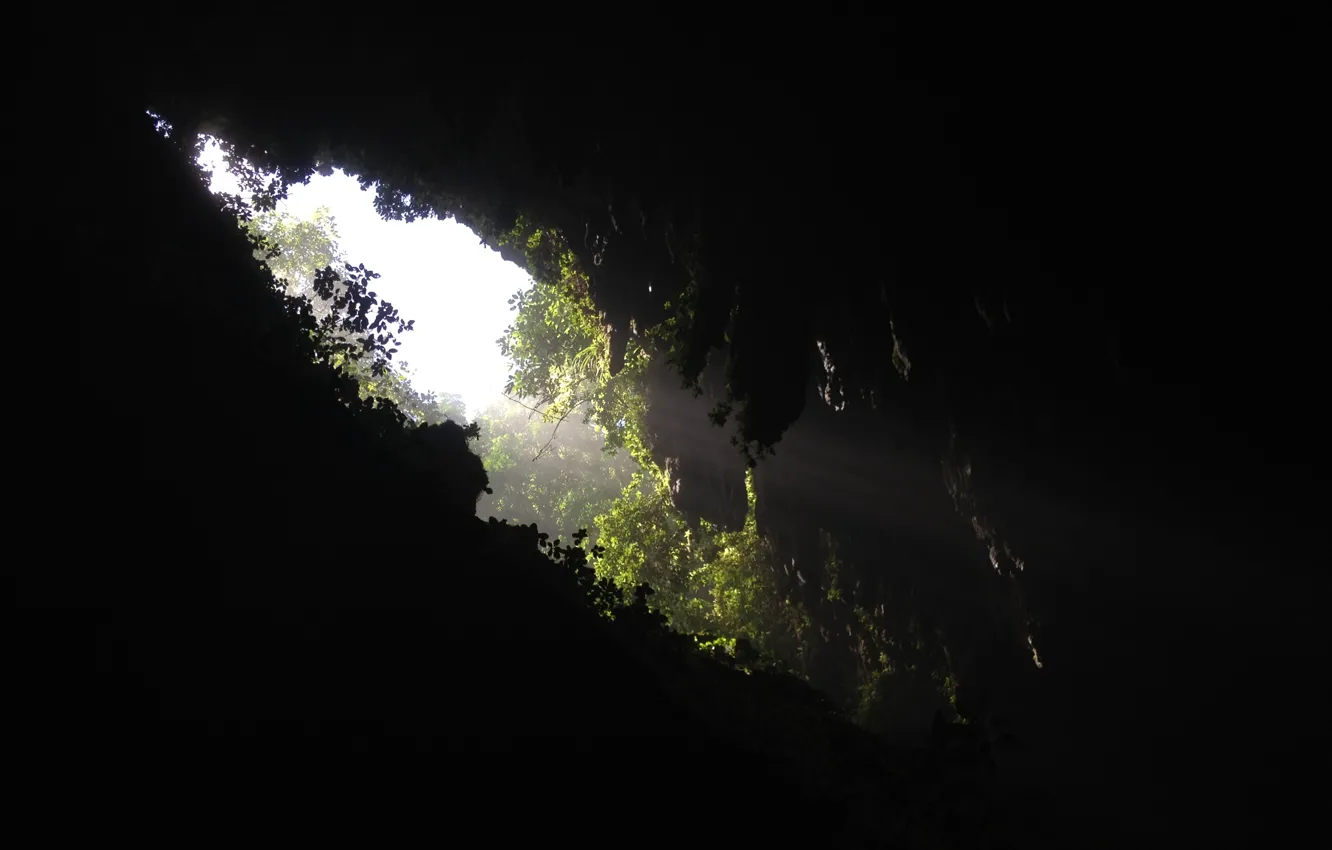 Photo wallpaper greens, dark, hole, gorge, cave, opening