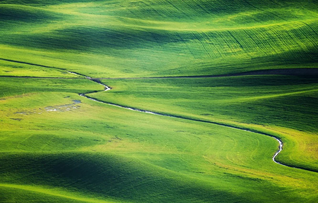 Photo wallpaper road, greens, grass