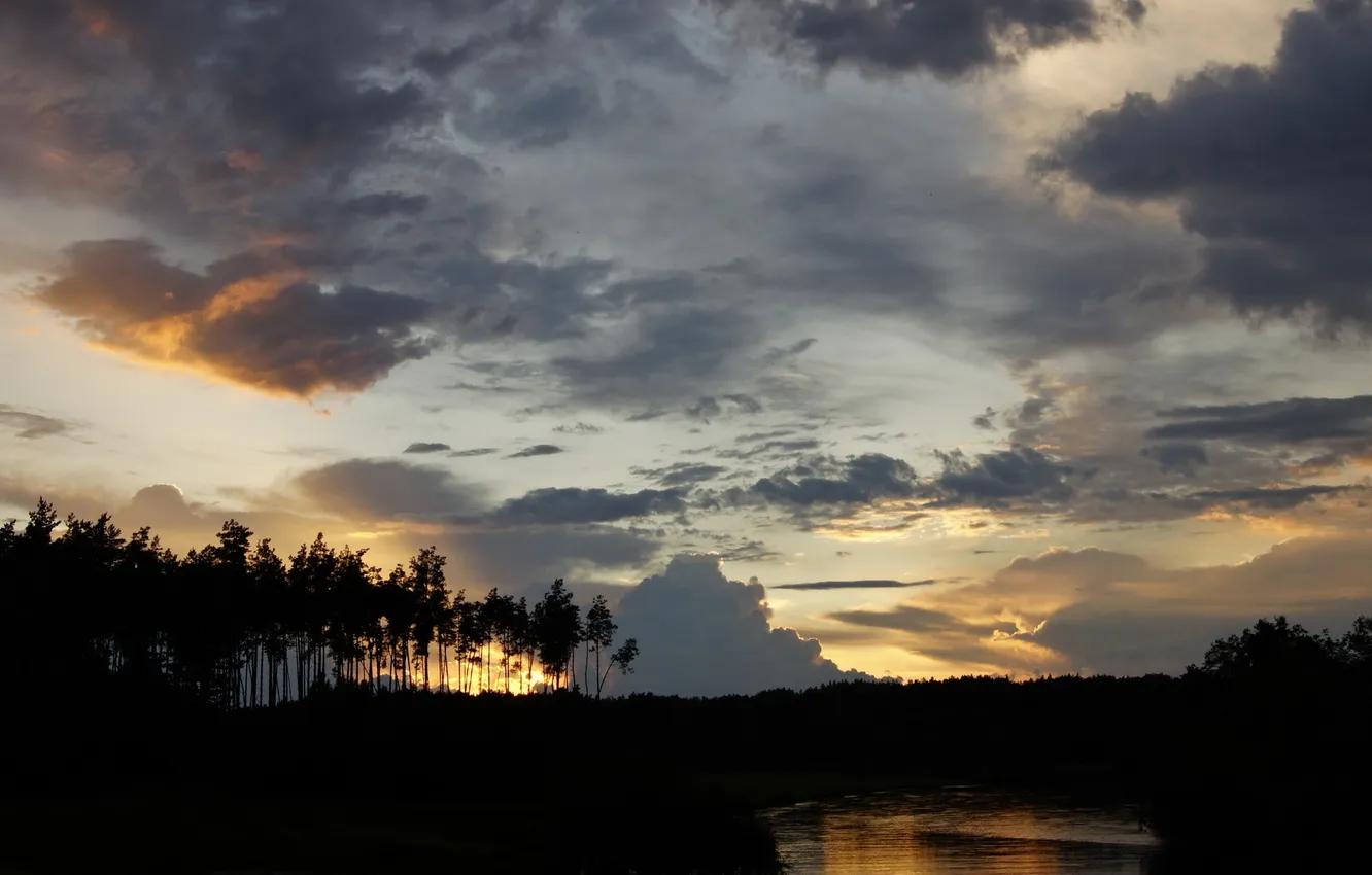 Photo wallpaper trees, landscape, sunset, the evening