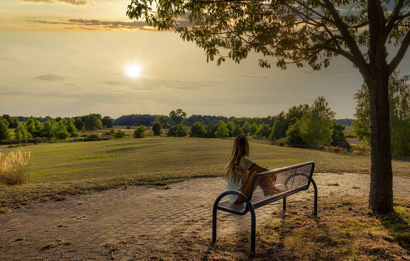 Photo wallpaper summer, girl, the sun, trees, bench, nature, Park, back