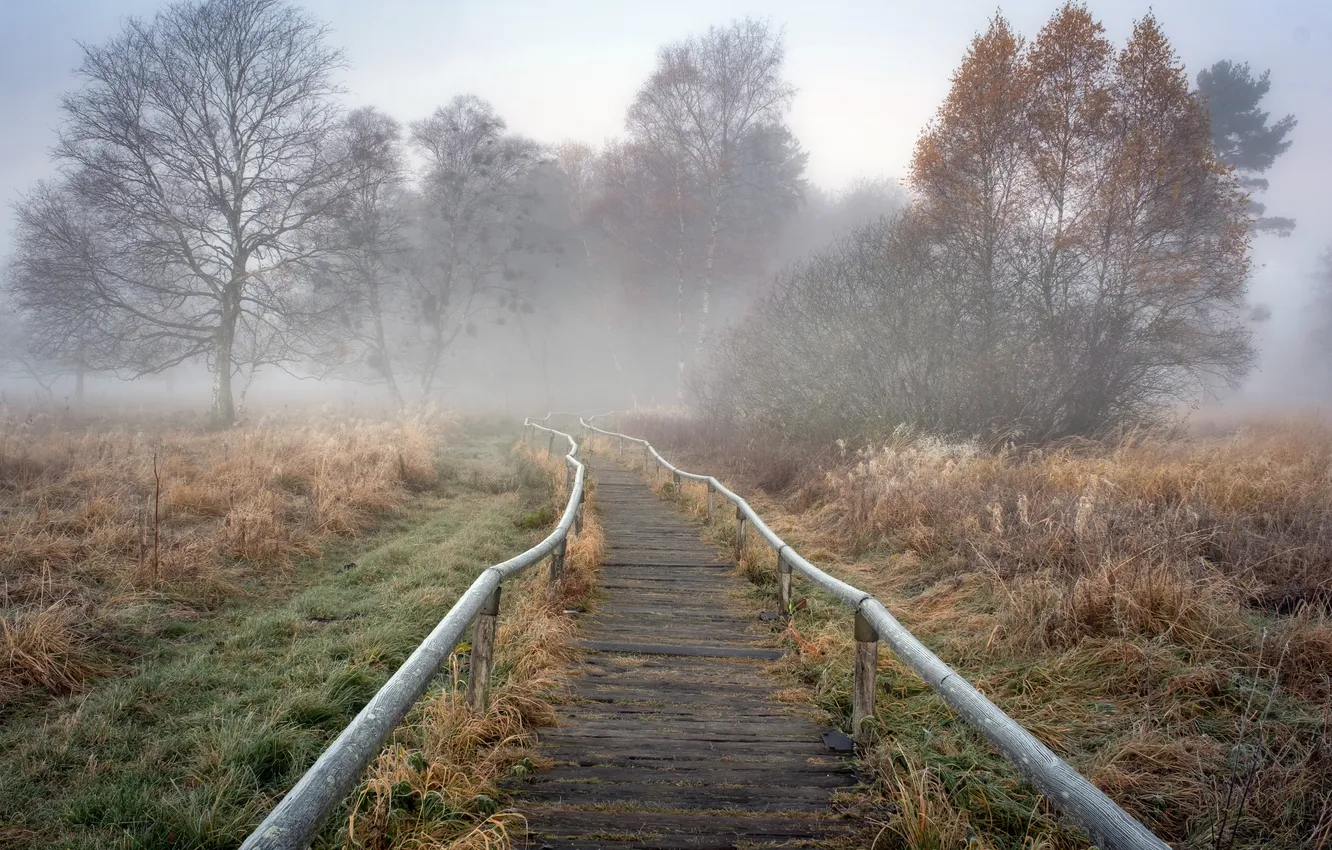 Photo wallpaper field, fog, track