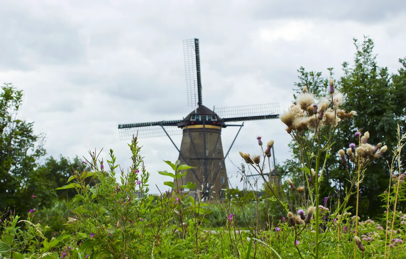 Photo wallpaper flower, the sky, grass, flowers, clouds, nature, mill, Holland