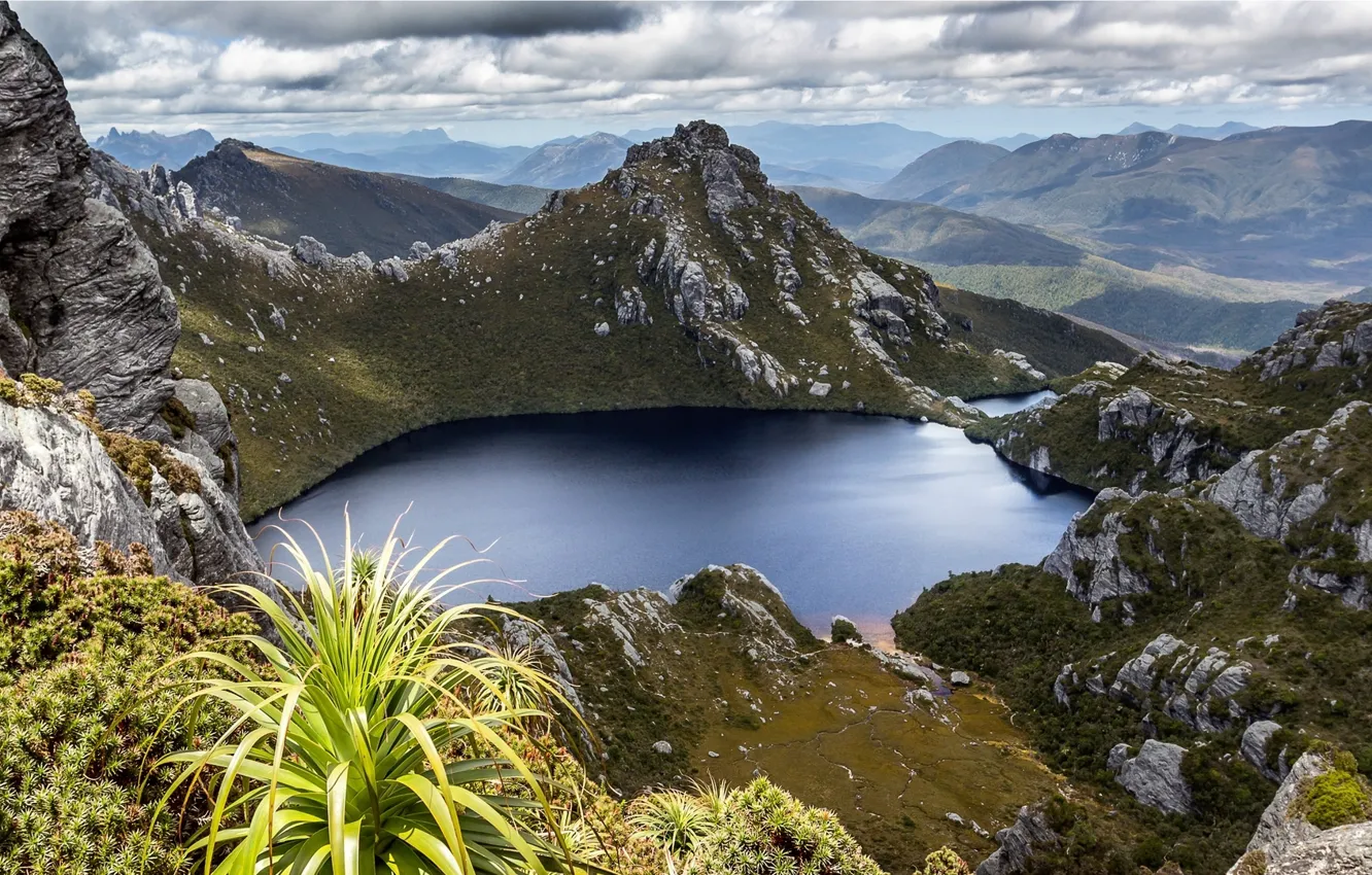 Photo wallpaper lake, hills, plants