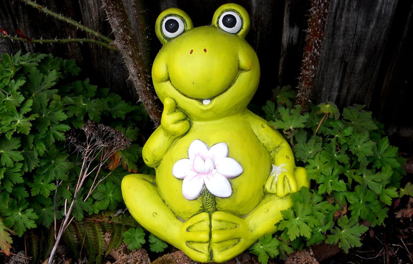Photo wallpaper flower, frog, figurine
