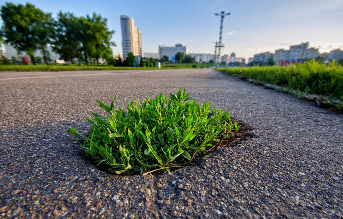 Photo wallpaper road, grass, asphalt, the city, Minsk