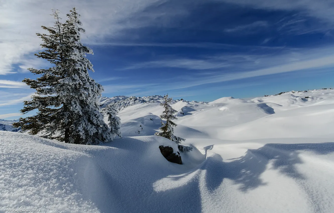 Photo wallpaper winter, the sky, snow, trees, mountains, hills, spruce