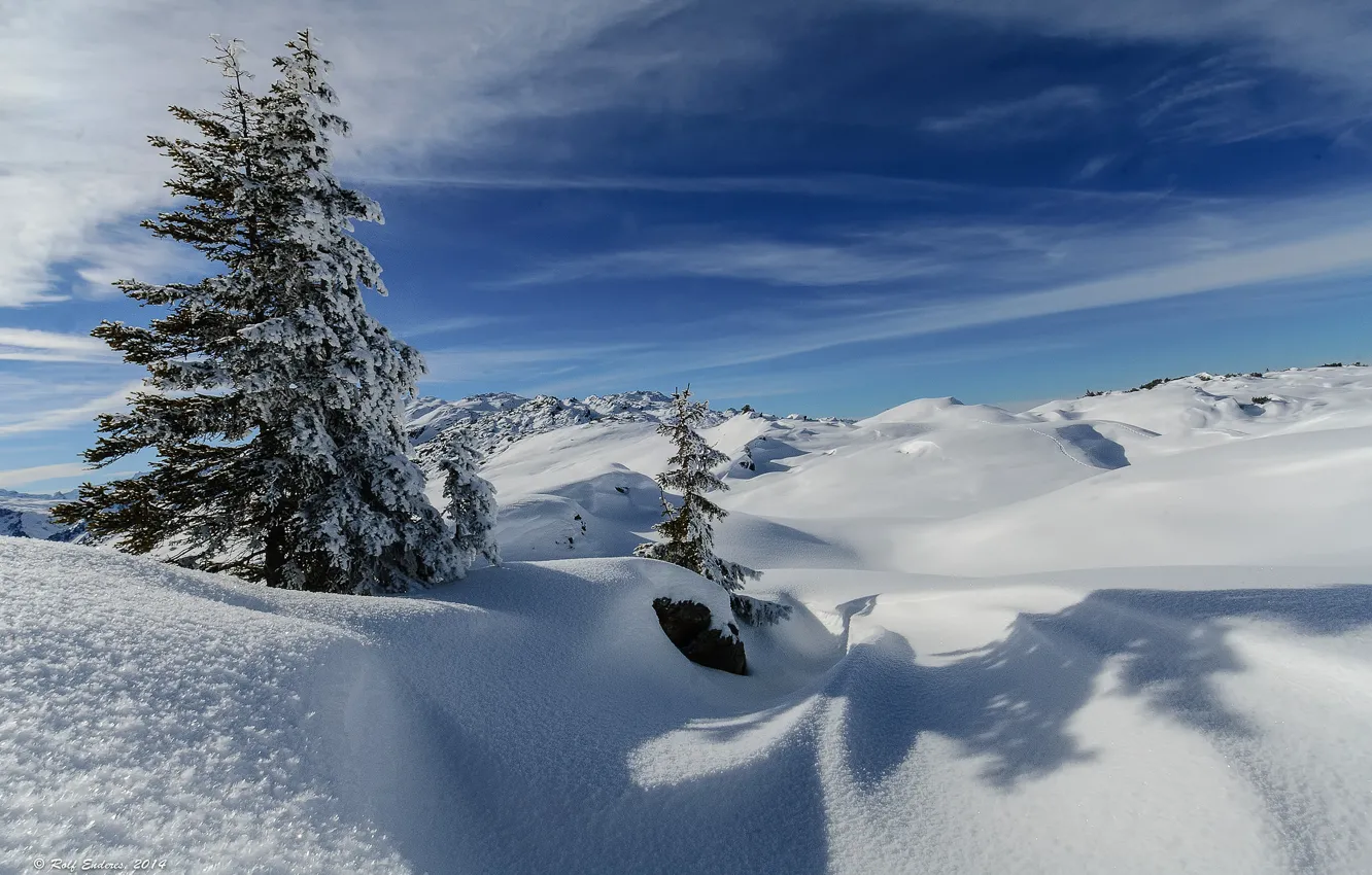 Photo wallpaper winter, the sky, snow, mountains, tree, hills, spruce