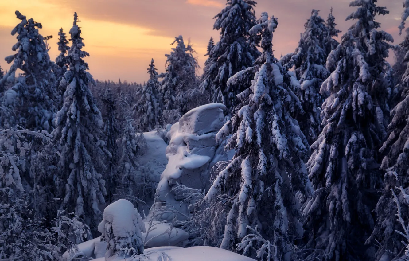Photo wallpaper winter, snow, trees, landscape, sunset, nature, stones, ate