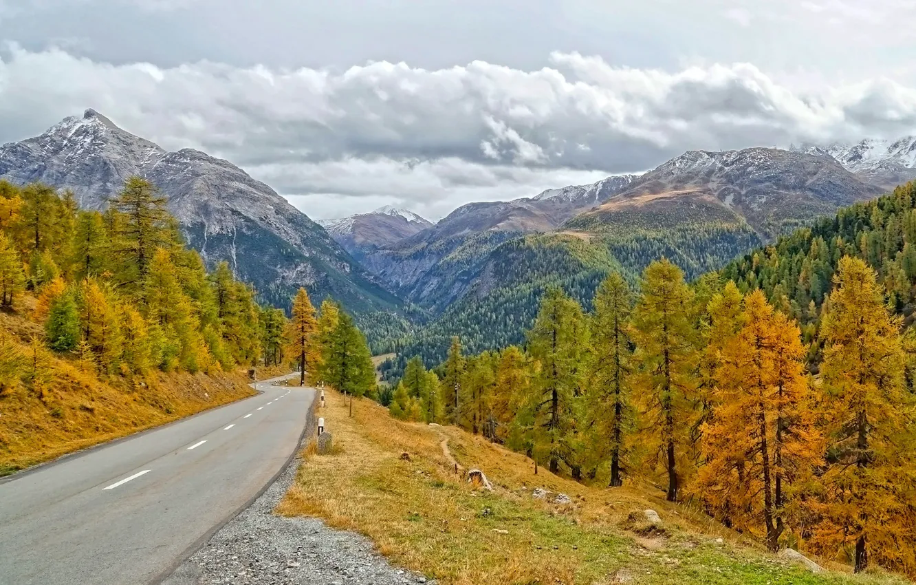 Photo wallpaper road, autumn, forest, trees, mountains, Switzerland, the Canton of Grisons, Alvaneu Village