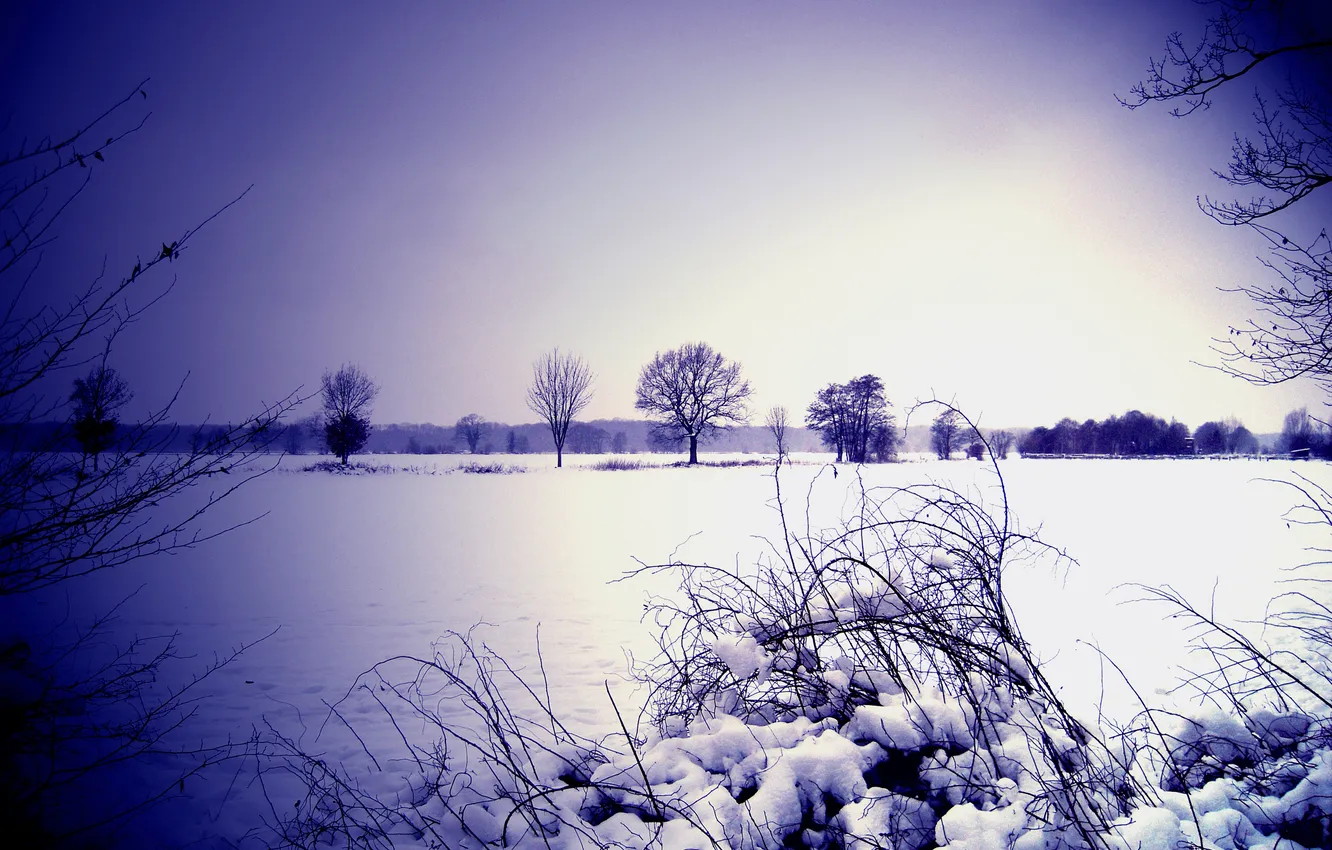 Photo wallpaper winter, the sky, snow, trees, Bush, horizon, lens