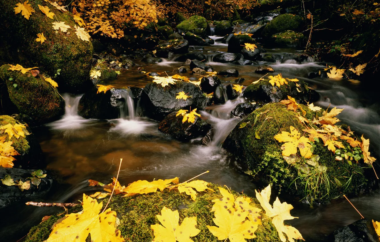 Photo wallpaper water, nature, America