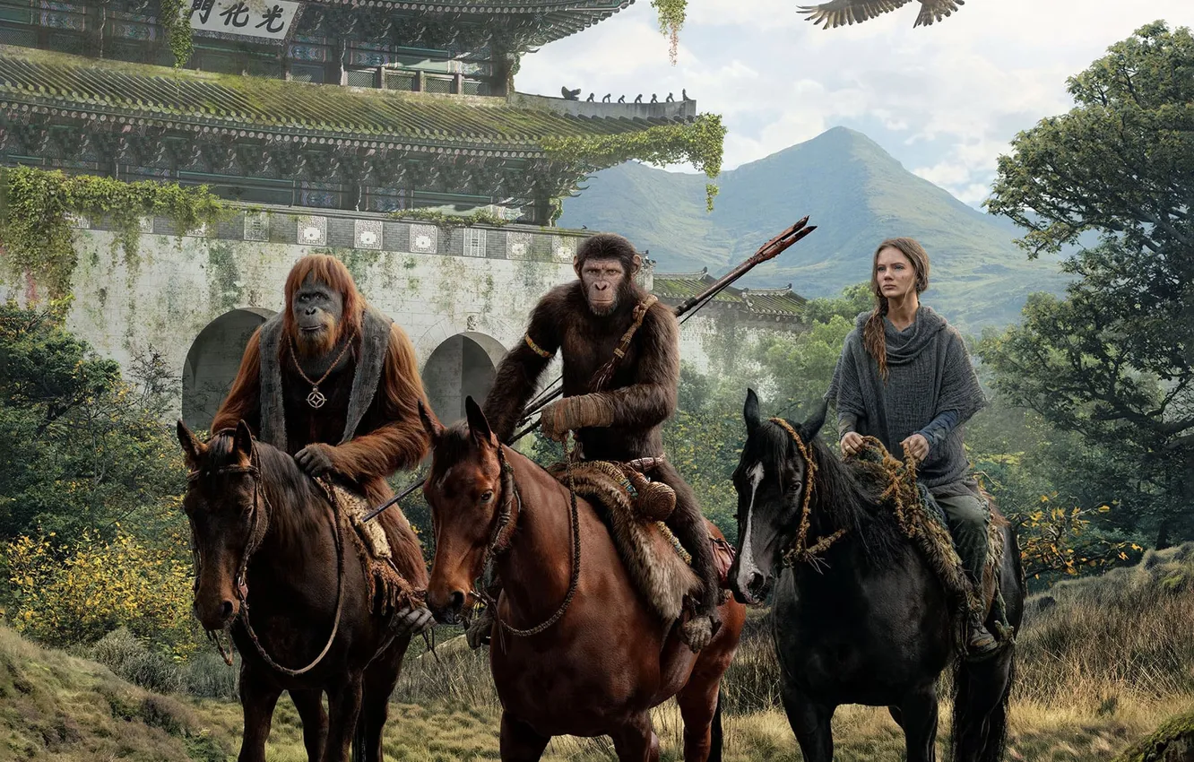 Photo wallpaper Girl, Horse, USA, Fiction, Three, Action, Drama, Adventure