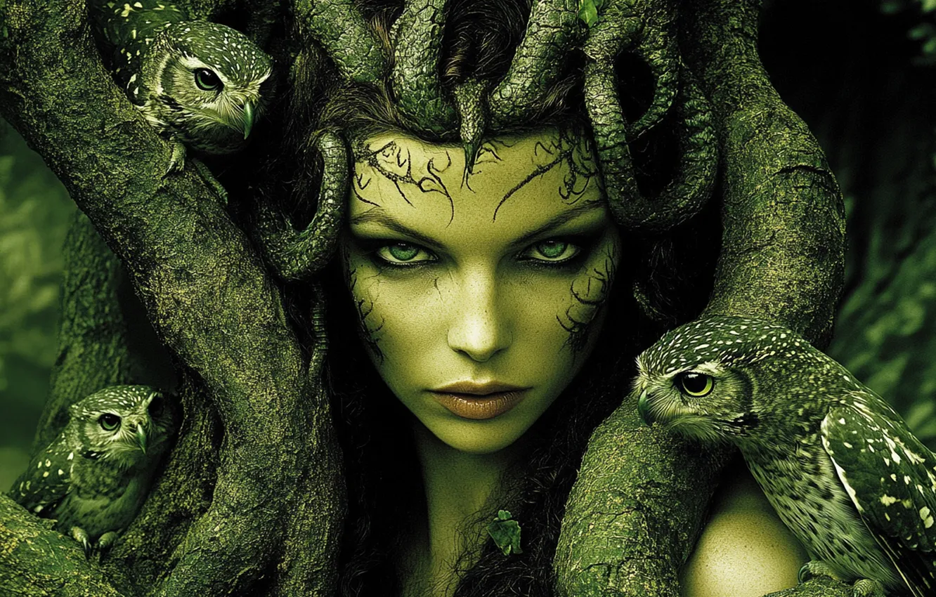 Photo wallpaper look, girl, branches, the dark background, owl, bird, portrait, fantasy