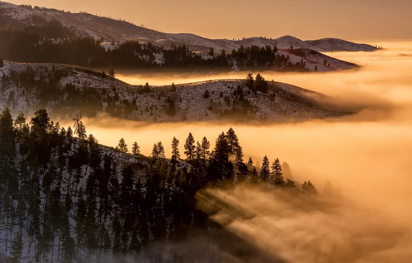 Photo wallpaper mountains, nature, fog, morning