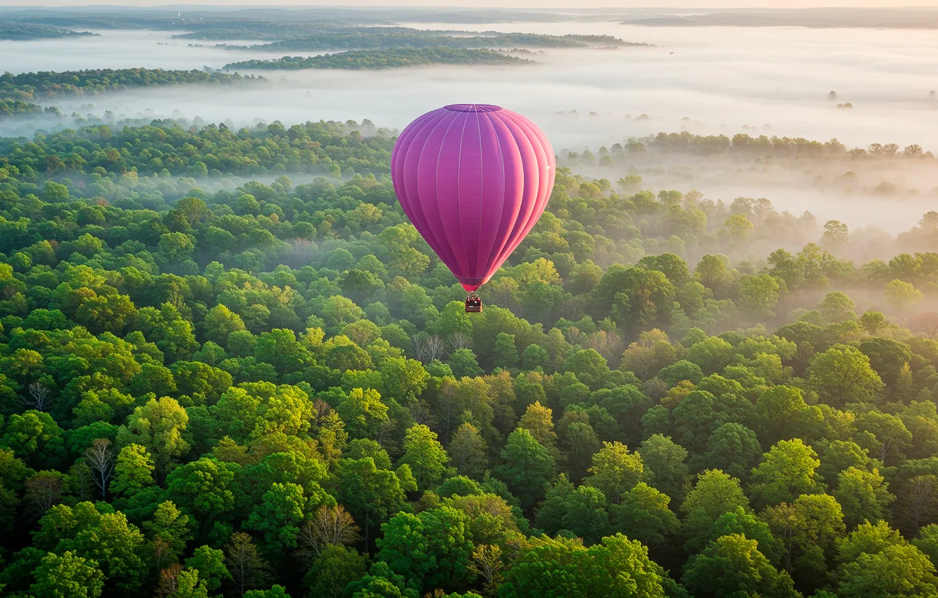 Photo wallpaper forest, trees, fog, balloon, Wallpaper, height, art, wallpaper