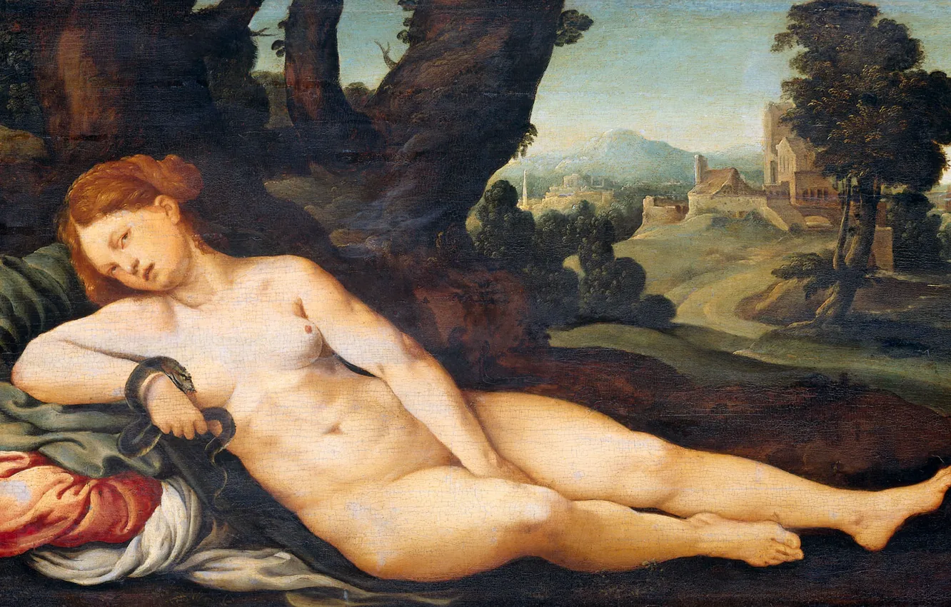 Photo wallpaper erotic, oil, picture, Jan van Scorel, 1525, Jan van Scorel, The Death Of Cleopatra