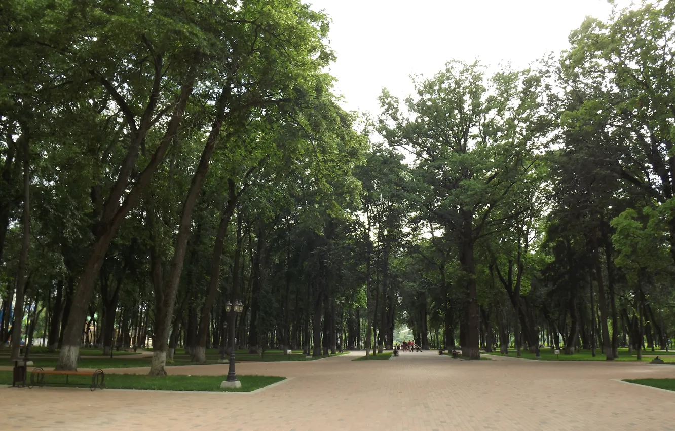Photo wallpaper summer, Park, Kaluga