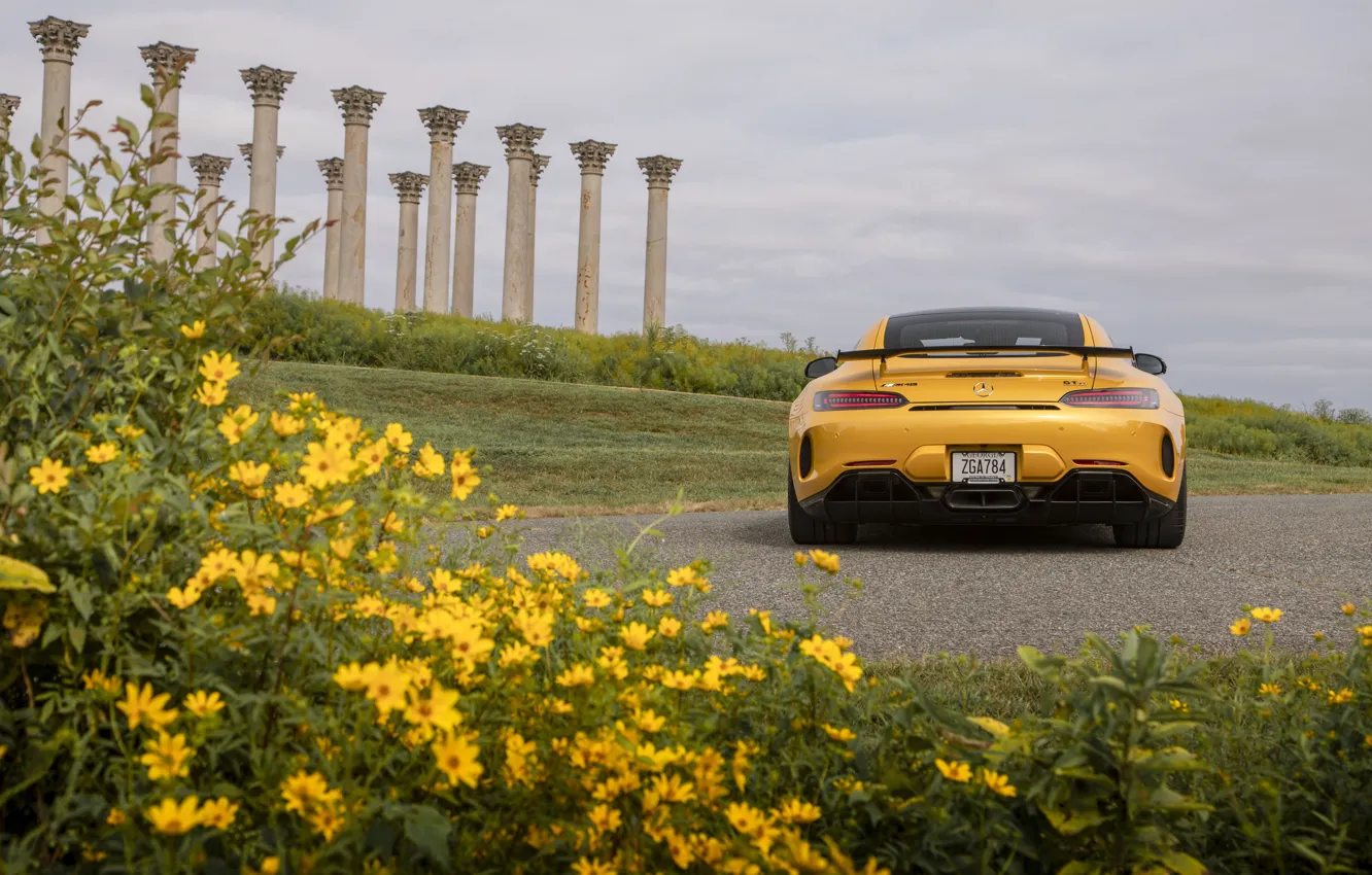 Photo wallpaper Mercedes-Benz, rear view, AMG, GT R, 2020