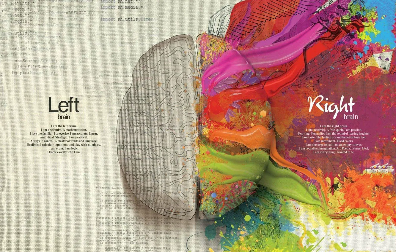 Photo wallpaper creative, paint, brain