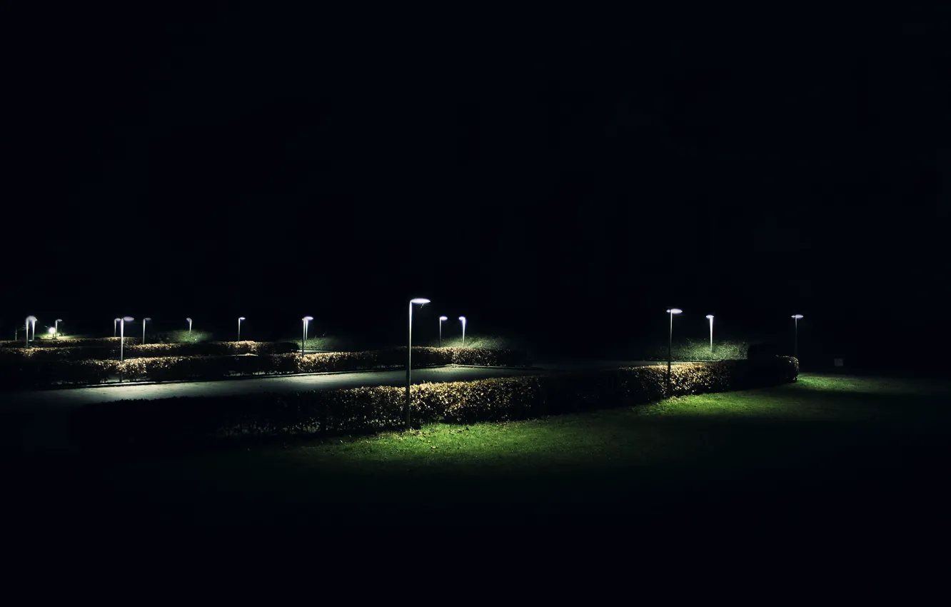 Photo wallpaper grass, night, Bush, lantern