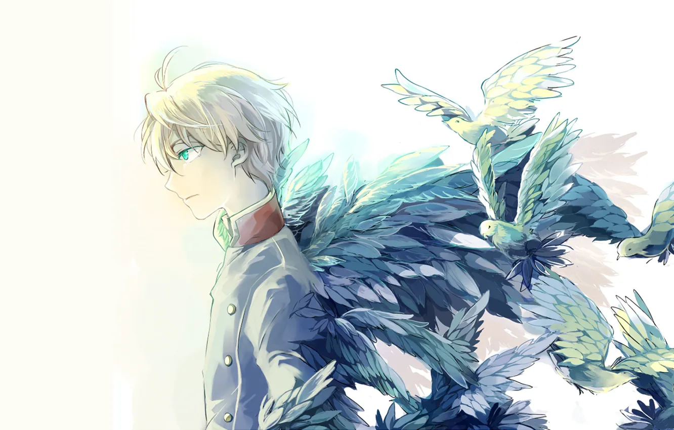 Photo wallpaper bird, guy, Aldnoah.Zero, Slane Tread, Aldea zero