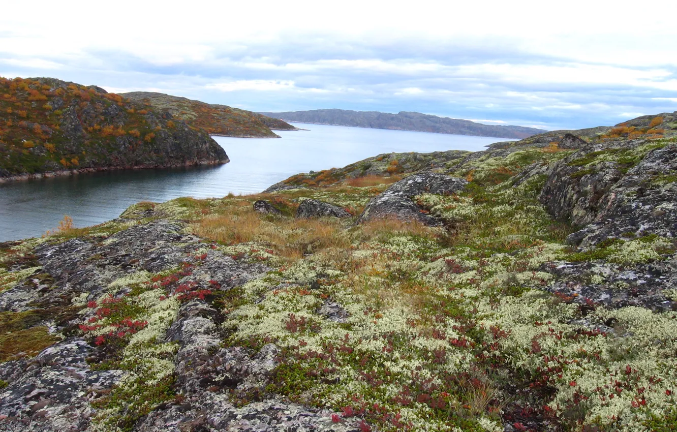 Photo wallpaper autumn, lake, North, hills, Gremikha
