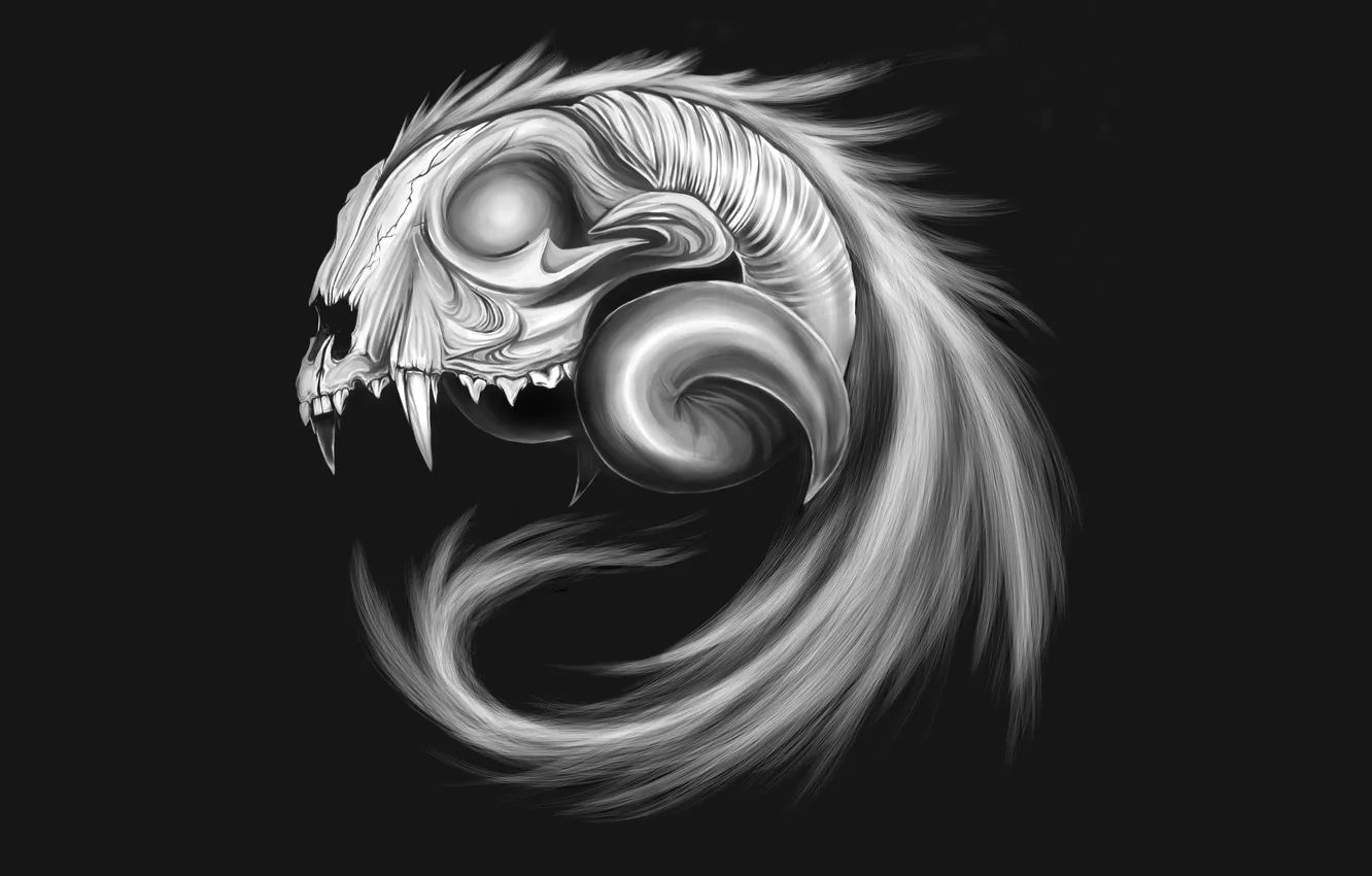 Photo wallpaper sake, animal, drawings