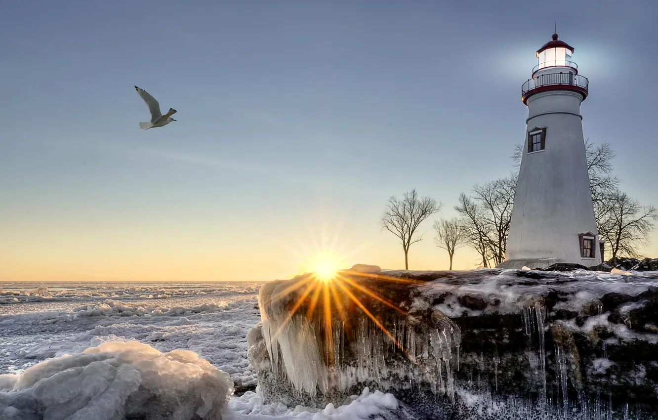 Photo wallpaper ice, winter, sea, the sun, rays, trees, coast, lighthouse