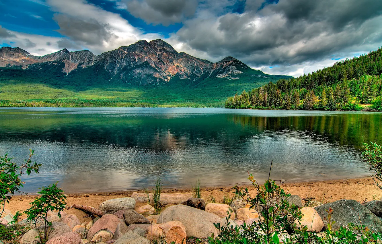 Photo wallpaper forest, the sky, grass, clouds, trees, mountains, nature, lake