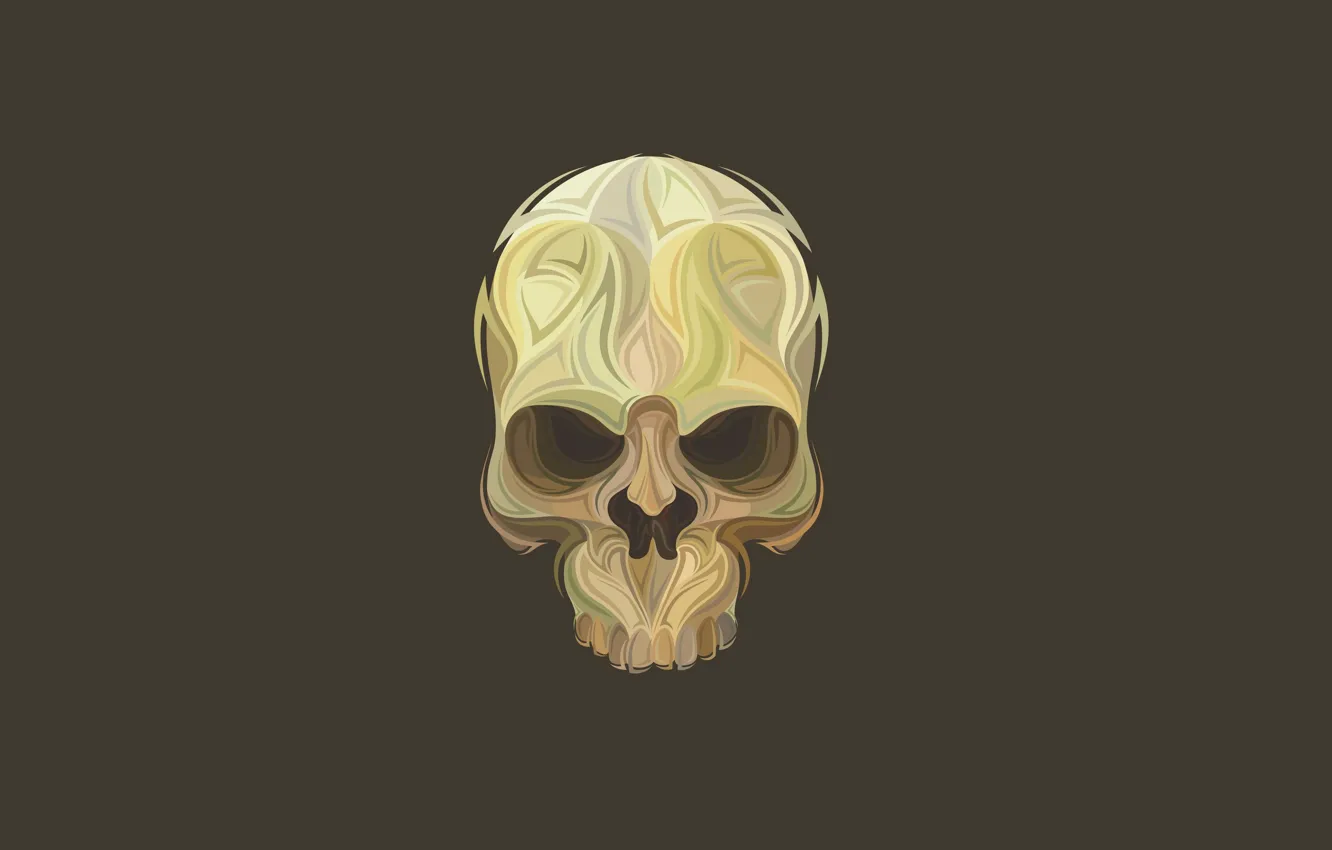 Photo wallpaper skull, minimalism, head, skeleton