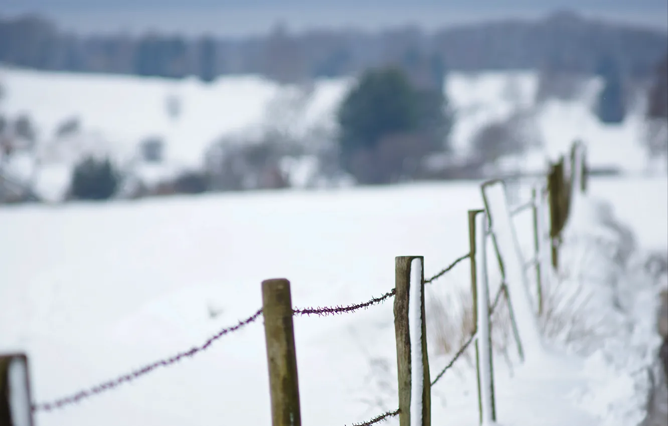 Photo wallpaper winter, fence, wire