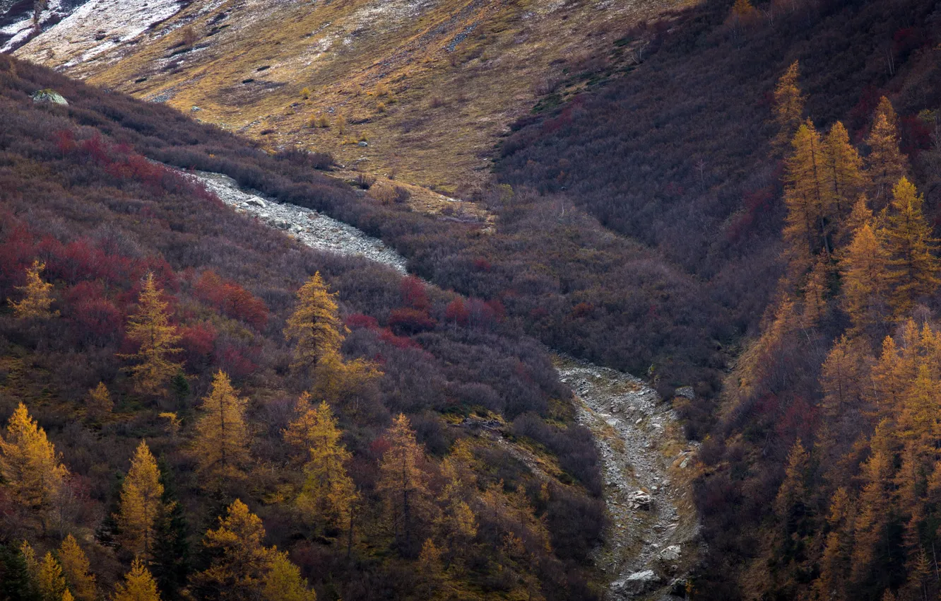 Photo wallpaper autumn, mountains, nature