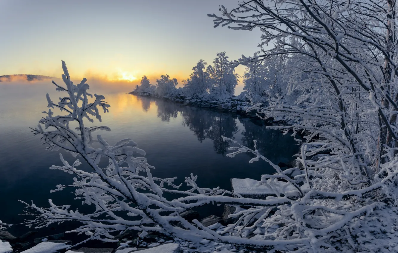 Photo wallpaper winter, snow, landscape, branches, nature, lake, pair, Yulia Shumlyaeva