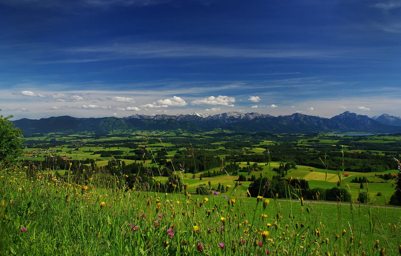Photo wallpaper field, the sky, grass, clouds, trees, flowers, mountains, valley