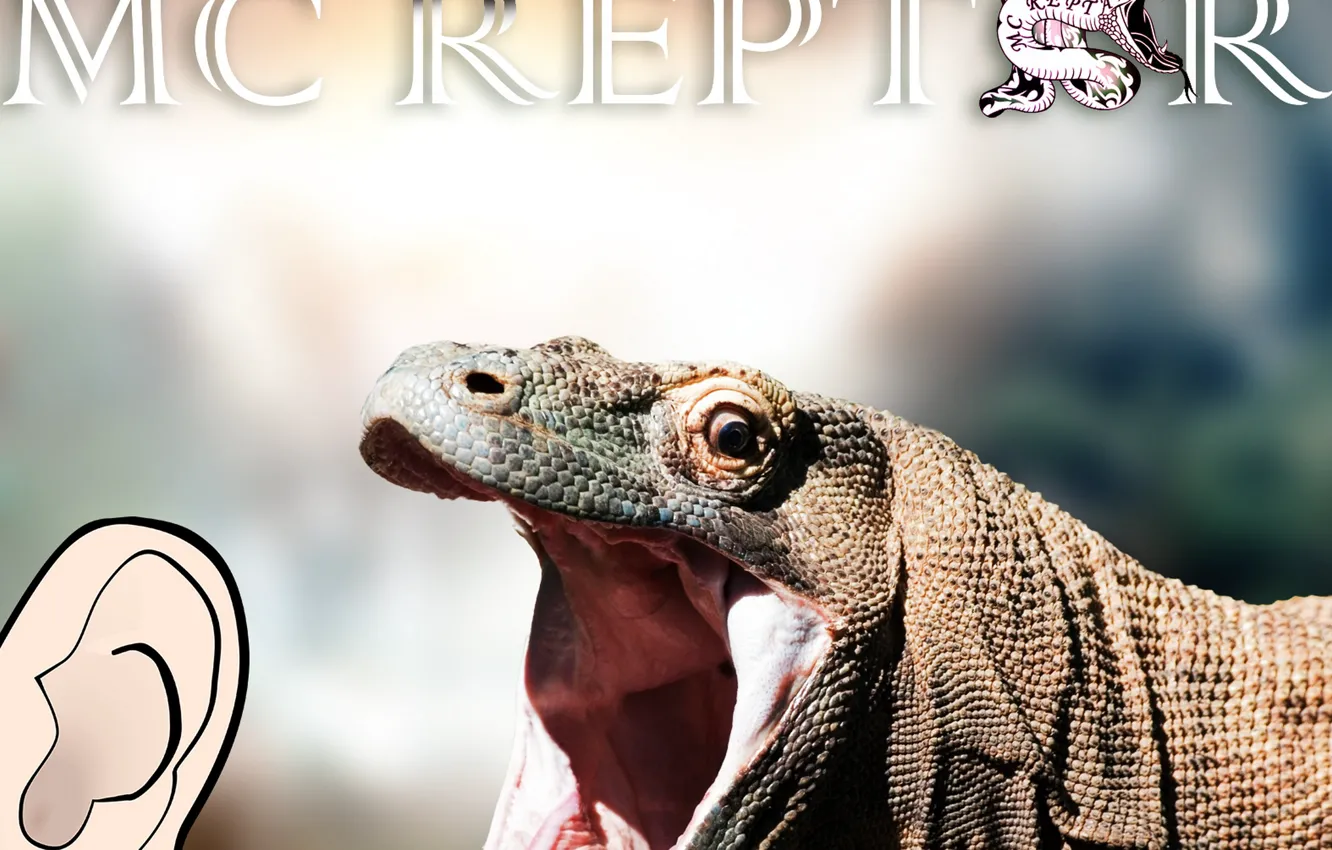 Photo wallpaper lizard, Striptease, girls, gentleman, reptile, hobo, money, Varan
