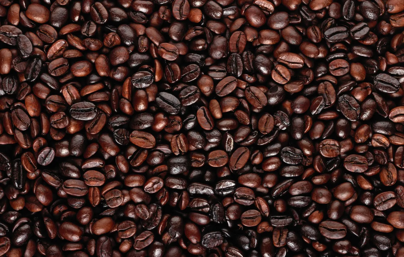 Photo wallpaper background, coffee, grain