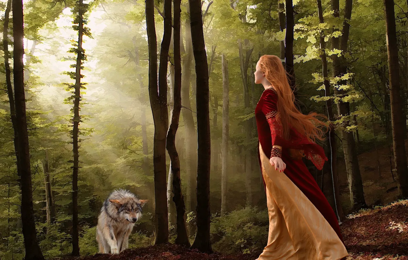 Photo wallpaper forest, girl, wolf, the situation