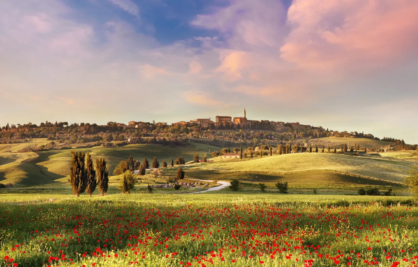 Photo wallpaper field, hills, Maki, meadow, Italy, settlement, Tuscany, poppy field