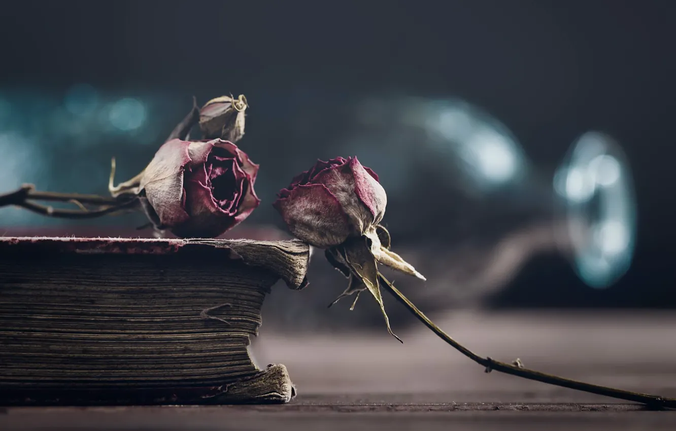 Photo wallpaper flowers, background, roses, book