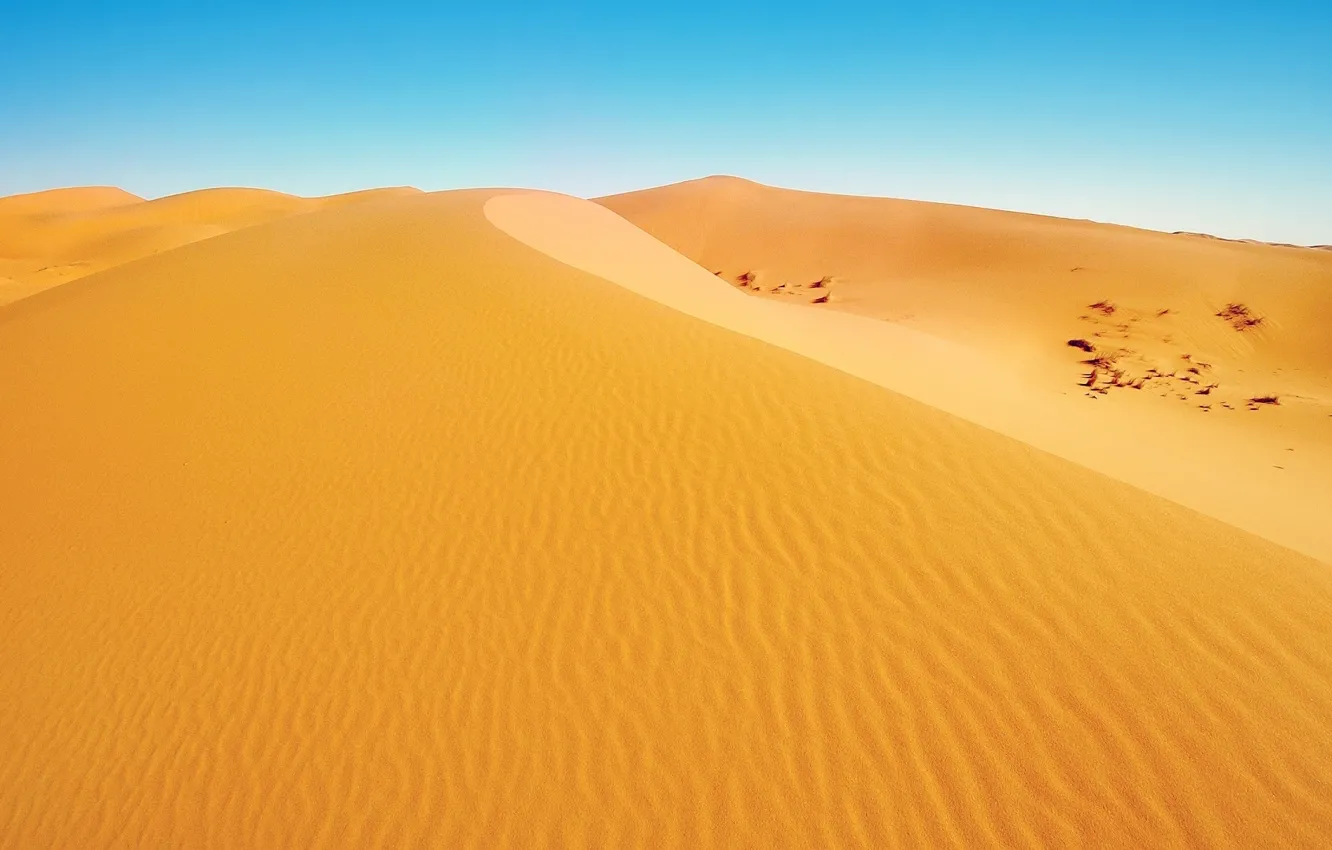 Photo wallpaper sand, desert, Africa